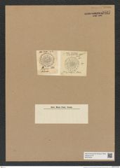 Actinoptychus sp. (de-Toni-Nr.: Genus 227) Zeichnungen Sammlung Grunow Nr. 9537 (NHMW-BOT-W0379533)